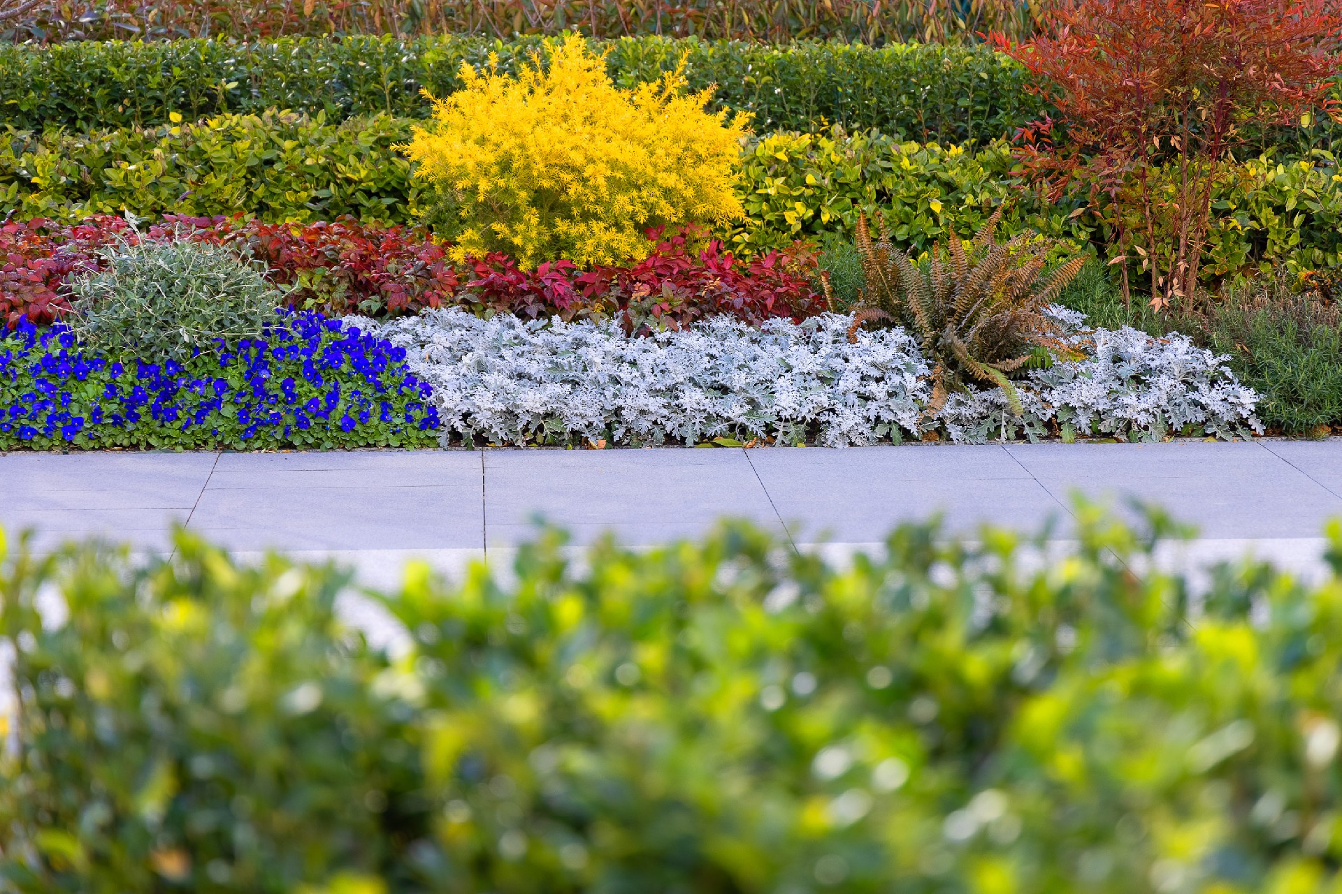 首页- k8凯发集团中国官方网站